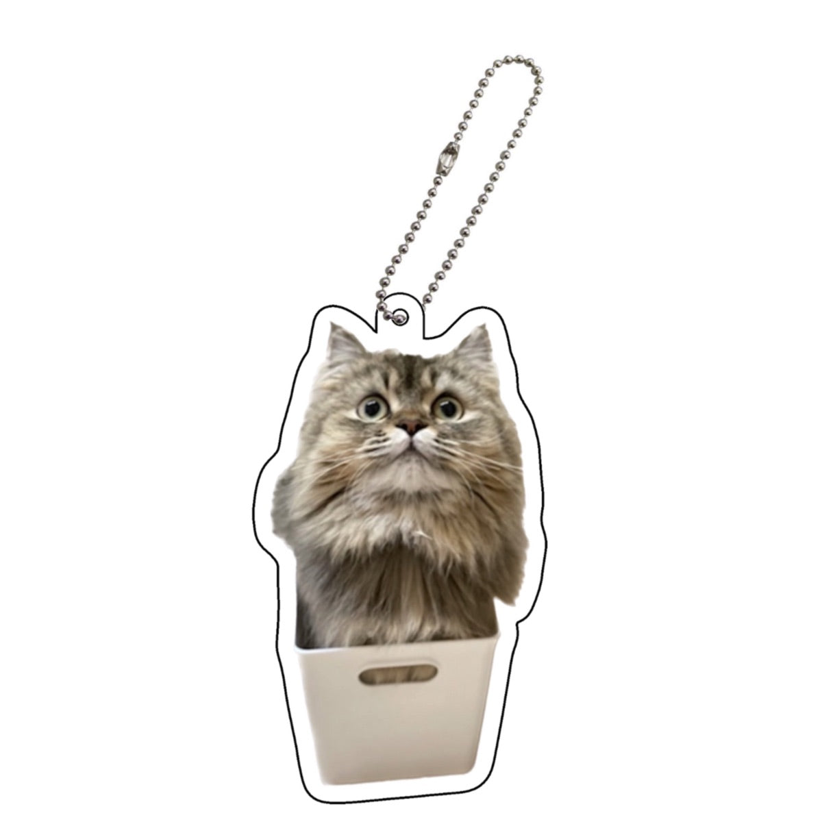 フランアクキー