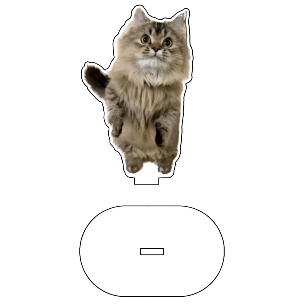 フランアクスタ