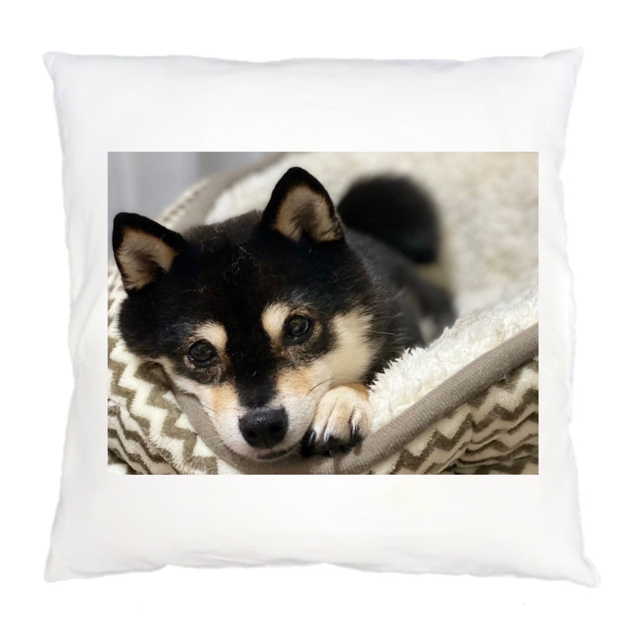柴犬ナルトクッションカバーA