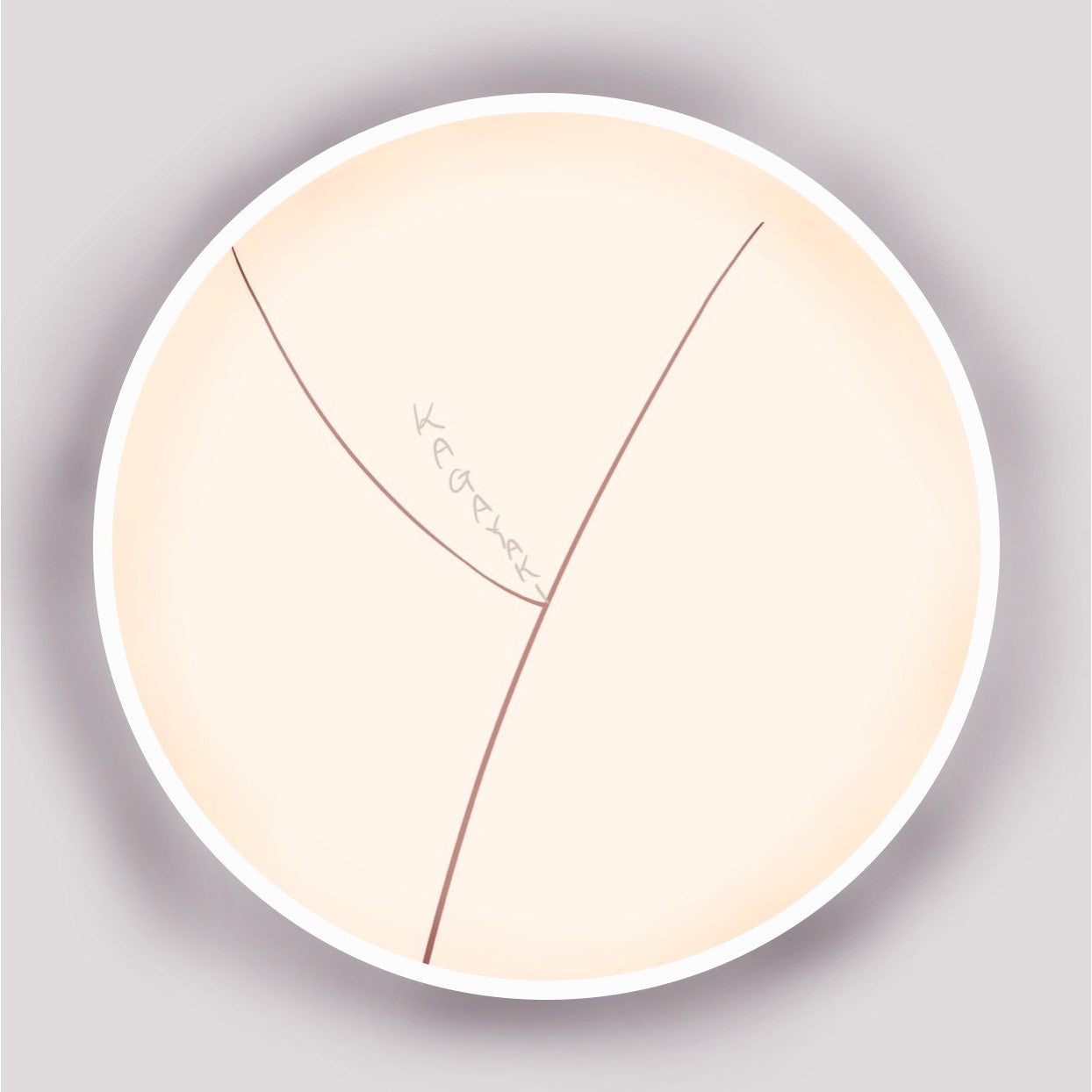 山田まめマグネットB