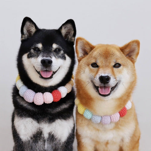 柴犬みくりな